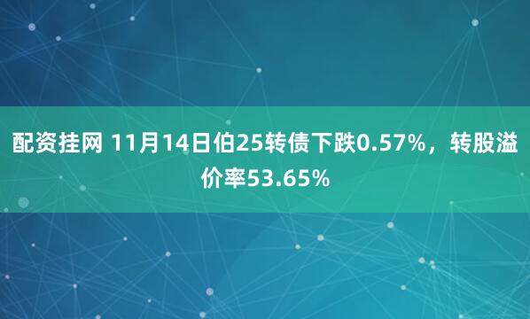配资挂网 11月14日伯25转债下跌0.57%，转股溢价率53.65%