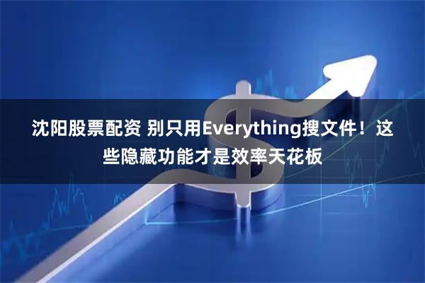 沈阳股票配资 别只用Everything搜文件！这些隐藏功能才是效率天花板